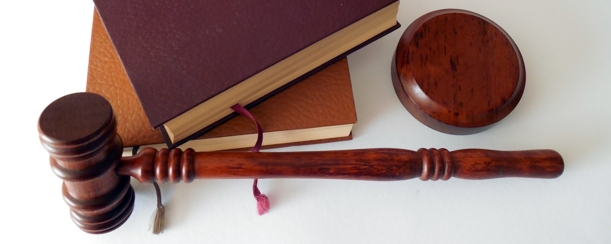 haccp engedély kapcsolat